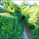 남산공원(정자아래) 이미지