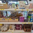 캠프우든브릿지 | #32. 5성급 캠핑장을 이런 금액에? 계곡까지 있는 뭐하나 빠지지 않는(캠프우든브릿지,C1)