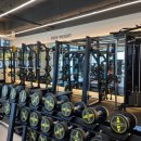 바이탈 짐 이미지