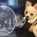 유케어종합동물병원 이미지