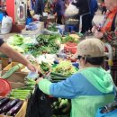 제주교통복지신문