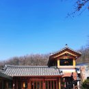 서촌경로당 | [깅꼬서울] 개화동 은행나무 옆 보존가옥으로 지정된 한옥카페 (내돈내산, 평일방문후기)
