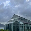 4541 | 한겨울에 꺼내보는 여름 거제 여행 - 외도 널서리 카페 후기