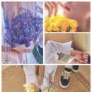 형섭X의웅 카카오 검색결과