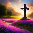 생명의 기쁨 이미지