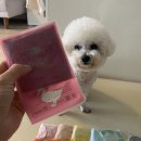 저단12 이미지