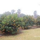 그린사이드펜션 이미지