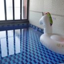 축산물명품관 이미지