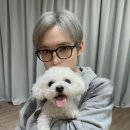 이안경 이미지