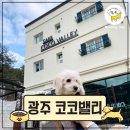 코코목욕 이미지