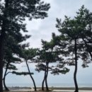 킹콩솔숲캠핑장