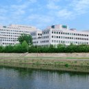 분당-196 이미지