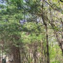 무양성(무한성) 이미지