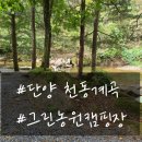 단양천동계곡캠핑장;그린농원 이미지