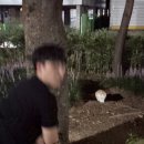 술돼지 - 동구 화잠9길 21 | 술돼지