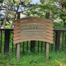춘추 유아숲체험원 이미지