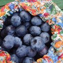 농부보따리 이미지