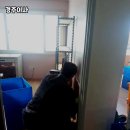 가격 대비 만족도 높은 경주이사 고객후기 중심 서비스 소개