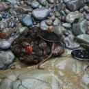 펜션 바다 이미지