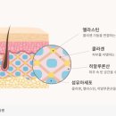 파인드피부과