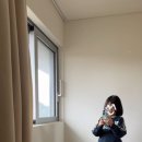 탐도예 이미지