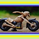 돔베낭골 이미지