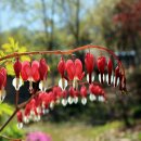 강남동행정복지센터 이미지