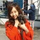 파리스헤어 이미지