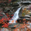 충장로길 이미지