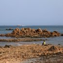 몽여해변 이미지