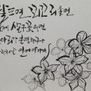 신전천 이미지