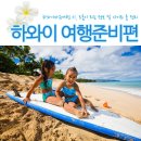 하와이 여행준비/하와이자유여행