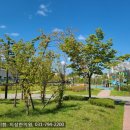 미사 게이트볼장 이미지