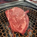 숲속애소 | 한우 맛집 | 왕궁포레스트 |내돈내산 후기