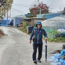 평화누리길10코스 고랑포길 이미지