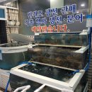 경포수산횟집