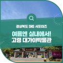 여름에 가기 좋은 고령 대가야박물관!