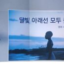 문라이트 이미지