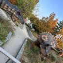 와동공원화장실 2 (농구장) | 과천 국립과천과학관 :: 자연사관 공룡 공원 방문 후기 아이와 실내 가볼 만한 곳