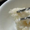 우린 반의 반쪽짜리 육체를 다듬어