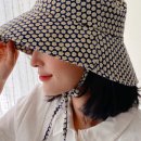 데이지포포