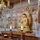 스테이 산위 이미지