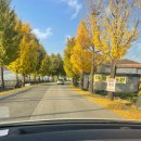 지체장애인협회대구중구지회 이미지