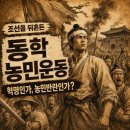 동학농민운동은 왜 전국을 뒤흔들었을까?｜전봉준은 혁명가였을까 반란군이었을까