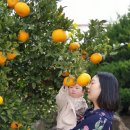 고성2119 이미지