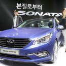 소나타 국민일보