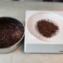 제이컴퍼니 | 로스팅기계 필수템 제이씨컴퍼니 제이닷쿨러 원두 쿨러 사용 후기