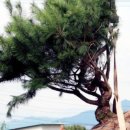 방죽골농장 이미지