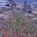 한창농장 이미지