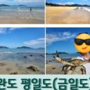 금일해당화해변 이미지